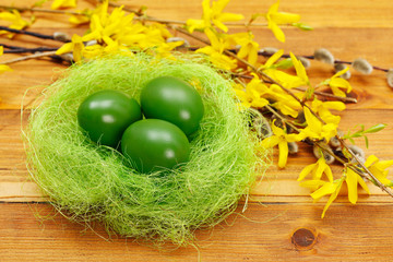Green eggs in nest