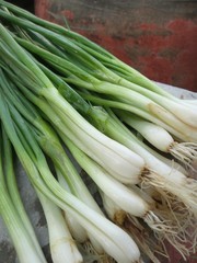 Spring onions