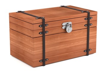 realistic 3d render of chest