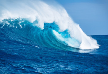 Ocean Wave - 61981582