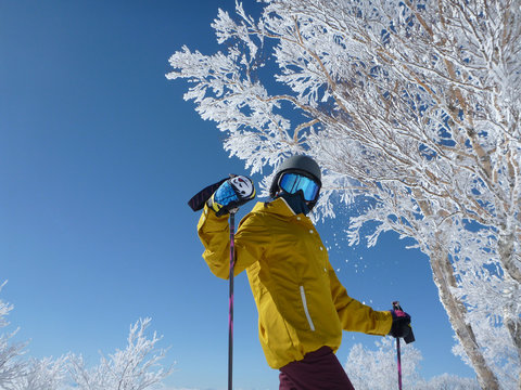 Nozawa Onsen Bluebird