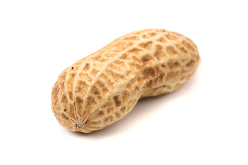 落花生-Arachis hypogaea