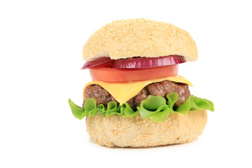 Appetizing fast food hamburger.