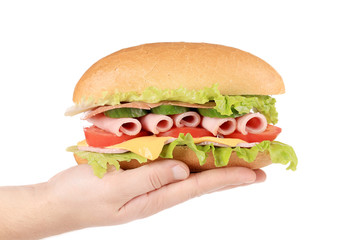 Hand holds french baguette sandwich.