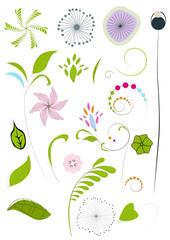 Fototapeta premium Fleurs et feuilles