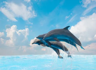Fotobehang Dolfijn groep springende dolfijnen
