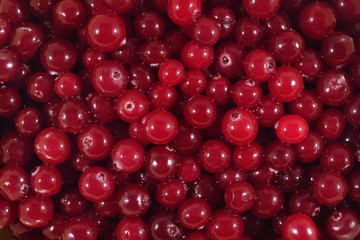 Fresh red cranberries background