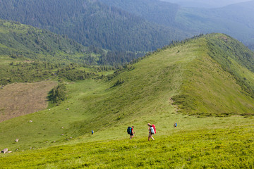 Young people are hiking in Carpathian mountains in summertime