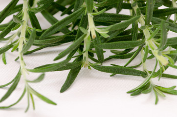 rosemary