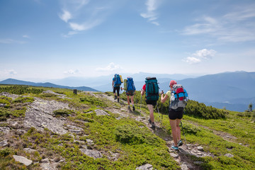 Obraz premium Young people are hiking in Carpathian mountains in summertime