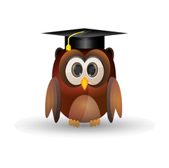Owl graduation cap