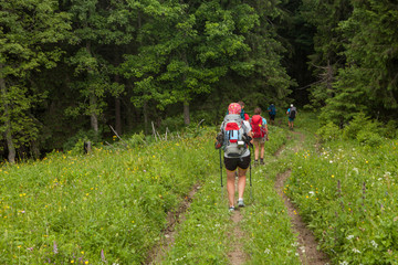 Young people are hiking in Carpathian mountains in summertime