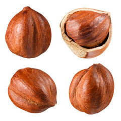 Hazelnut collection isolated on white