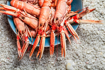 Fresh scampi served on the beach