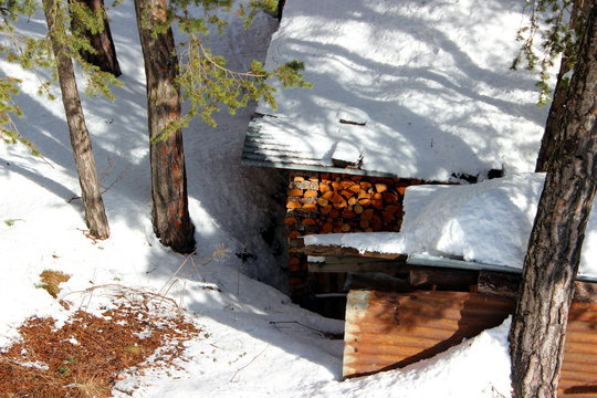 Catasta di legna coperta di neve