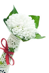 Bouquet of Fresh snowdrops