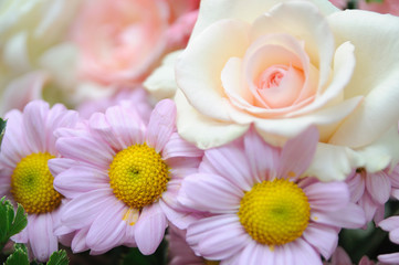 Fototapeta na wymiar Orange rose with beautiful flowers