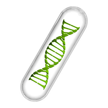 DNA Capsule - Green & White