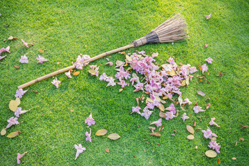 Flowers fall on the green lawn and lawn sweeper