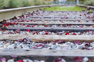 Fototapeta premium Old rails in yard