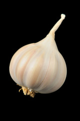 Garlic on Black Background