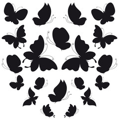 butterflies design