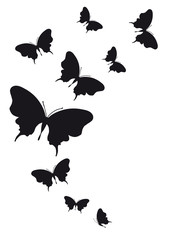 butterflies design