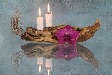 Kerzen, Wurzelholz, Orchidee