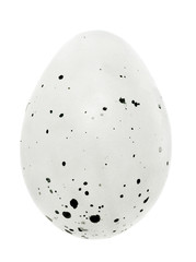 single grey spotted egg isolated on white