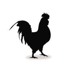Form contour cock, chicken sign logo