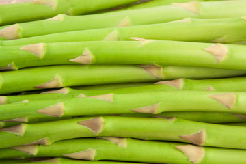 ripe green asparagus stalks