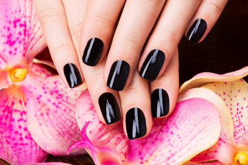 Beautiful women hands with black manicure