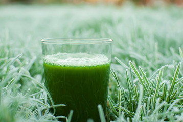 healthy green detox juice
