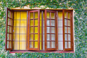 Wooden window with green ivy