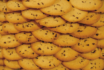biscuit