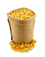 corn
