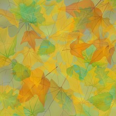 Autumn leaves