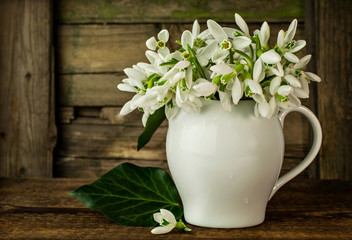 Bouquet of snowdrops