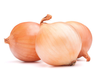 Gold onion vegetable bulbs