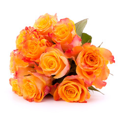 Yellow rose flower bouquet isolated on white background cutout