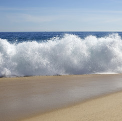 wave on a tropical beach