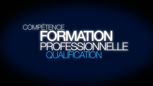 Formation professionnelle qualification tag cloud animation