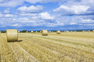 Fototapeta premium bale of straw on fields with blue sky