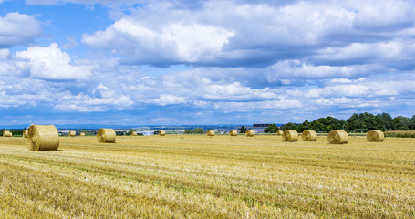 bale of straw on fields with blue sky