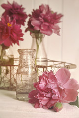 Beautiful peony flowers with bottles on table