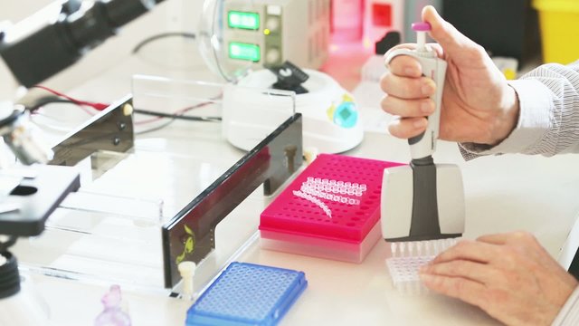 Adding samples in Gel Electrophoresis