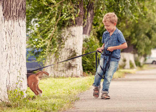 Little boy walking his puppy