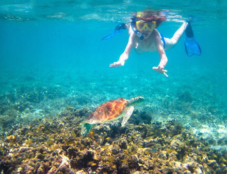 Child snorkeling in a tropical sea next to a turtle