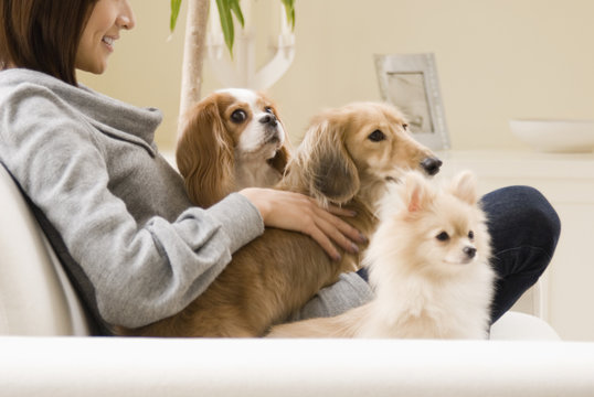 Dog And Woman Relaxing On Sofa