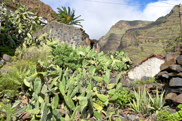 El Guro on La Gomera. El Guro is known from his artists